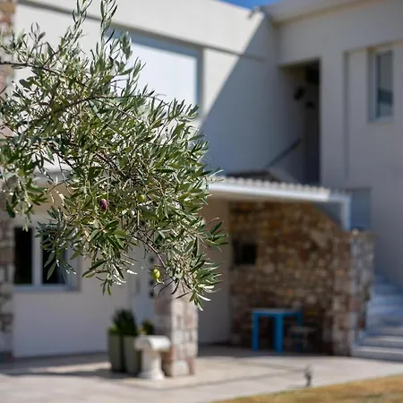 Olive Tree Villa